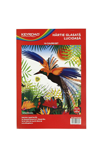 Hartie glasata lucioasa, 238 x 338 mm, 10 coli / set