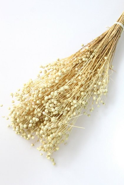 Kuru Çiçek Luna (keten) Otu 60gr Beyaz