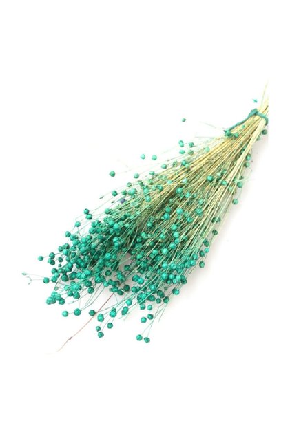Floare uscată Luna (in) Iarbă verde 60gr