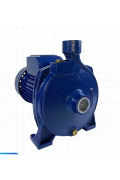 Cpm158 Salyangoz Pompalı Santrifüj Su Motoru 1 Hp 1" Eldiven Ve Kontrol Kalemi 28mt Max