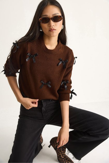 Women's Bitter Brown Bowknot Regular Knitwear Sweater 20246871