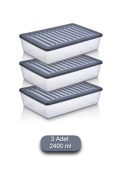 VİGENTİNO 3'Lü Set Buzdolabı Organizer Mikrodalga ve Difrize Uygun
