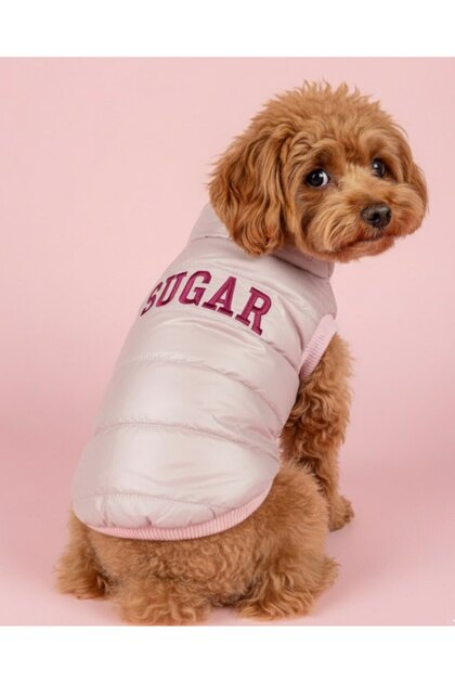 İsme Özel Köpek Yeleği İsimli Anorak Yelek Köpek Kıyafeti I Küçük ve Orta Irklar için Köpek Montu