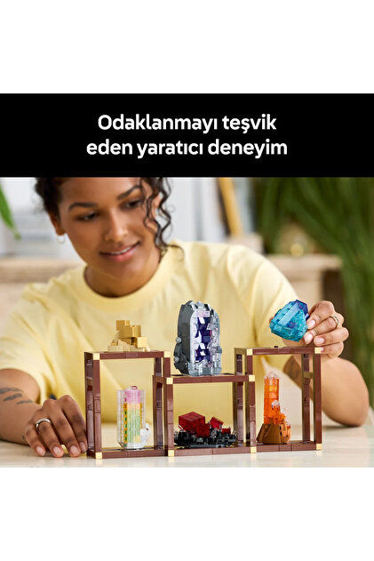 LEGO ® Ideas Mineral Koleksiyonu 21362 – Yetişkinler için Oturma