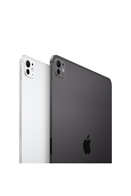 Apple 13