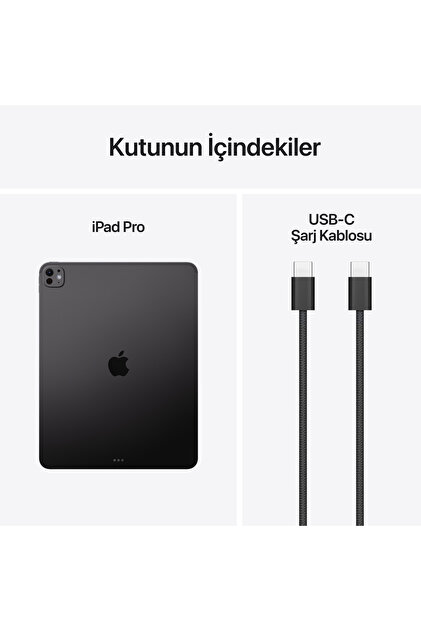 Apple 13