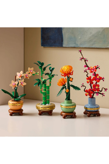 LEGO ® Botanicals Şans Bambusu 10344– Yetişkinler için Dekoratif