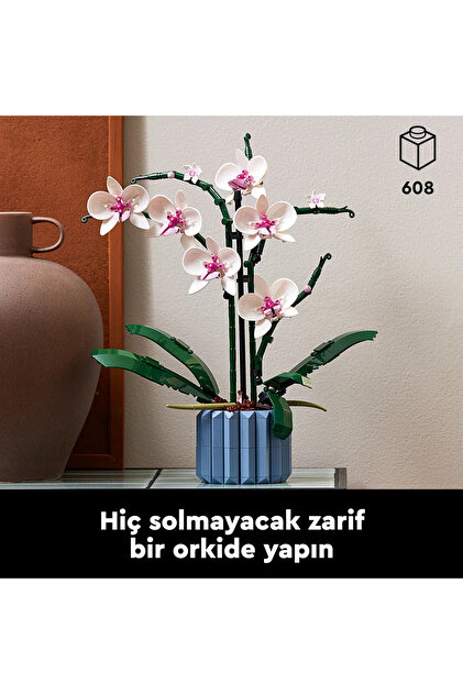 Lego Creator Expert Orkide 10311 Fiyatı, Yorumları - Trendyol