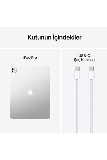 Apple 13