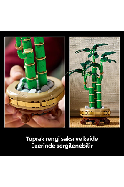 LEGO ® Botanicals Şans Bambusu 10344– Yetişkinler için Dekoratif