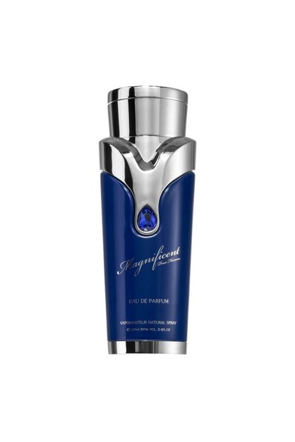 Ανδρικό Άρωμα Armaf EDP Magnificent Blue Pour Homme 100 ml
