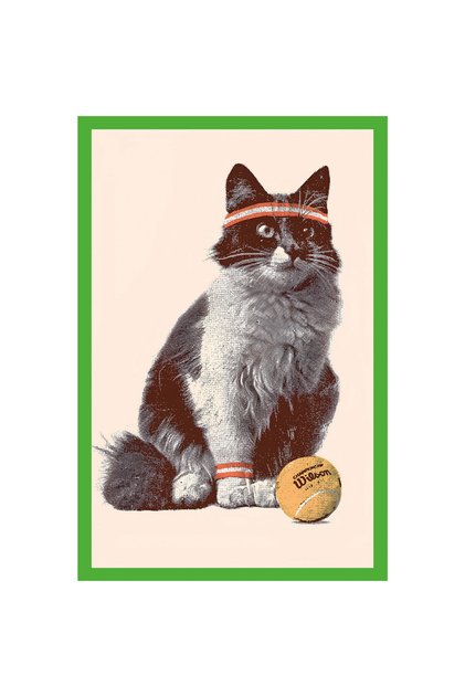 Cute Cat Themed Design Card – Decorative Gift Note Card and Postcard | 10X15Cm