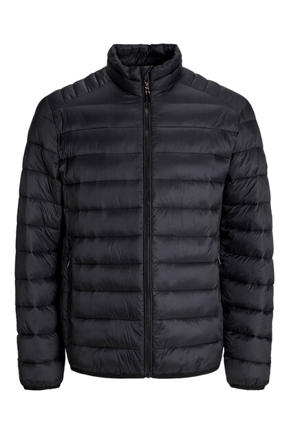 Puffer Siyah Erkek Mont 12280971