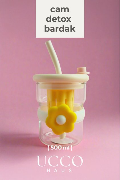500ml Papatya Desenli Pipetli Cam Detox Termos Matara Bardak - Su Meşrubat Limonata Bardağı/607B
