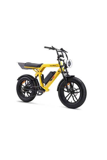 Ape Ryder COLOBUS PREMİUM ELEKTRİKLİ BİSİKLET 750W - Fiyatı, Yorumları
