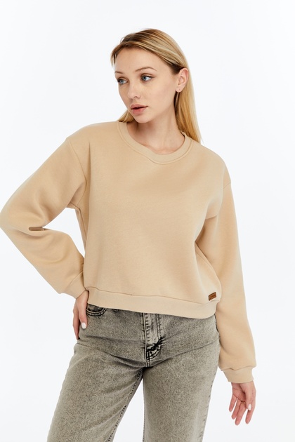 Kadın Siyah İçi Pamuklu Oversize Fit Basic Crop Sweatshirt
