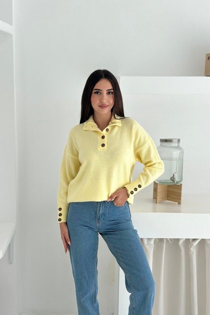 Stand Collar Half Placket Button Soft Textured Knitwear Sweater Aw25Kz0021