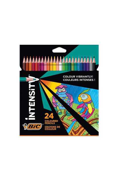 Color Up Üçgen Kuru Boya Kalemi 24 Renk 950528