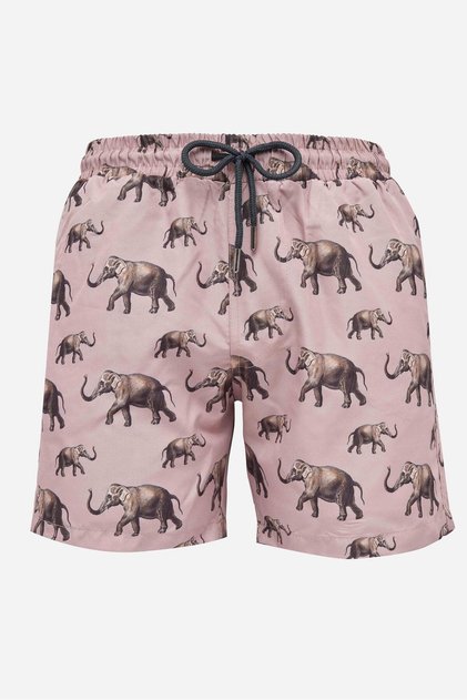 Men's Standard Fit Mesh Lined Quick-Drying Patterned Earth Color Swimwear Swim Shorts