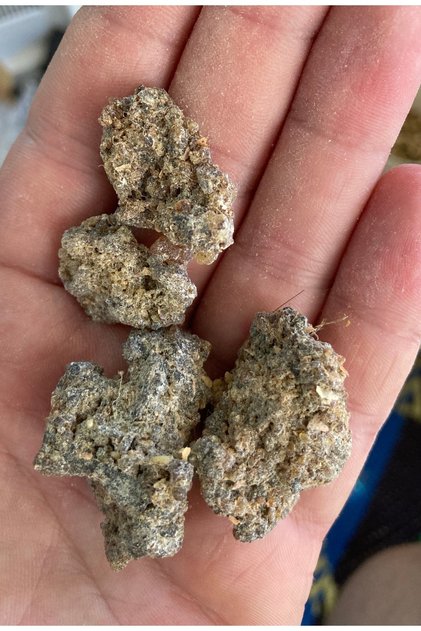 Taş Buhur Bosweilla Olibanum 50 gr Bahur Luban