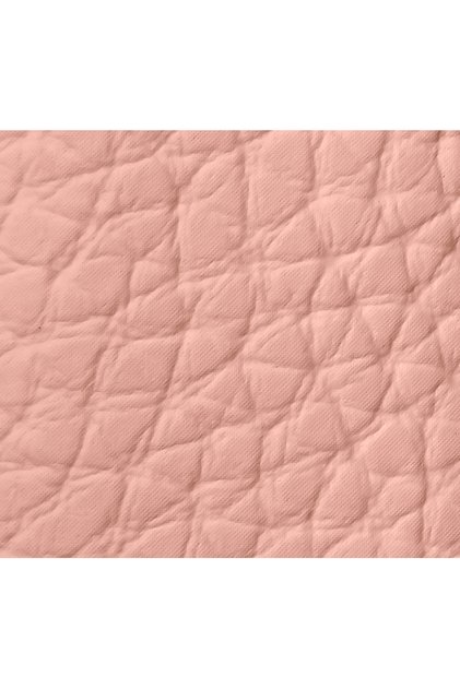 Rouge G 24 Lips Case Le Nude