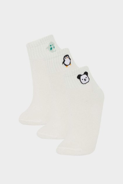 Women's 3-Pack Cotton Booties Socks F5621Axns