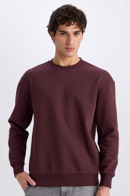 Boxy Fit Long Sleeve Cotton Crew Neck Soft Fuzzy Printed Sweatshirt X8282Az24Au
