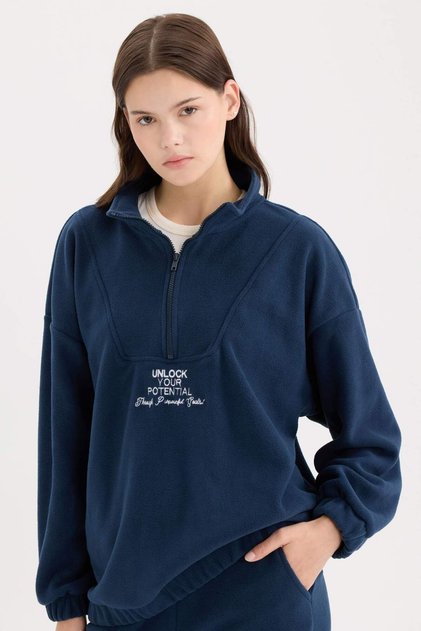 Oversize Wide Fit Zippered Stand Collar Embroidered Fleece Sweatshirt Y2649Az24Wn