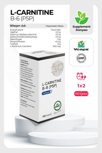 l-carnitine hdl-cholesterol L-Carnitine (500mg)