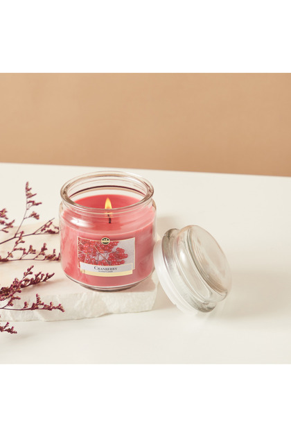 Bin Cranberry Scented Jar Candle - 280 gms