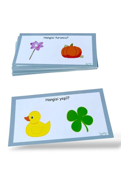 Color Cards Preschool, Special Educational Activity
