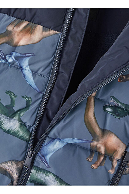 NAME IT NMMMAX Jacket Dino World Giacca, Forest Biome, 92 Ragazzi : . it