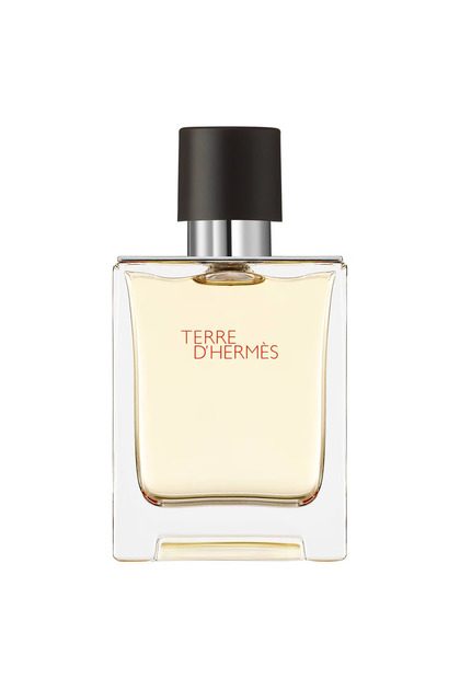 Hermes Terre d'Hermès - Eau de Toilette 100 ml - Fiyatı, Yorumları