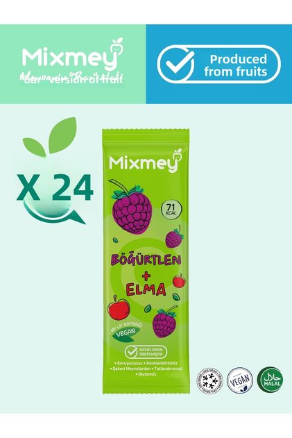 Blackberry Fruit Bar 24 Pieces | Healthy Snacks – Vegan, Gluten Free, Preservative Free 20Gx 24Pcs