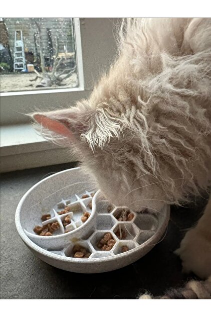 PUREYSMA Kedi ve Köpekler İçin Yavaş Mama Kabı - Eğlenceli Zeka