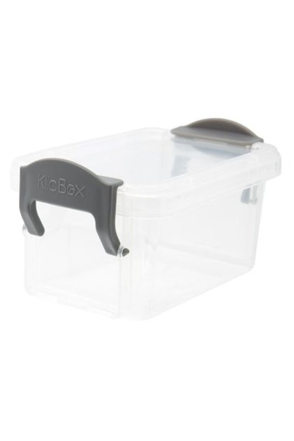 Recipient mic transparent din plastic pentru alimente Shopiens®, cu capac cu clips, 160 ml