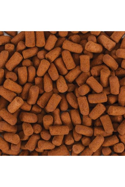 Soft Line Monster Fish 50 Gram Açık Bölme