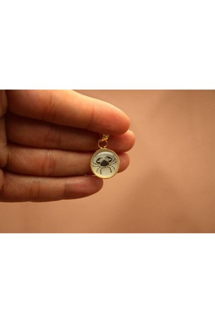 925 Ayar Gümüş Yengeç Burcu Kolye | El Yapımı Minimalist Kadın Takı