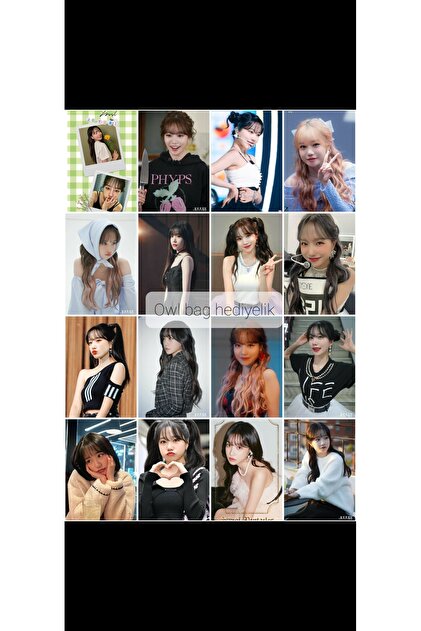 owl bag JO Yuri Tasarım 16' L Fotokart Seti - Fiyatı, Yorumları