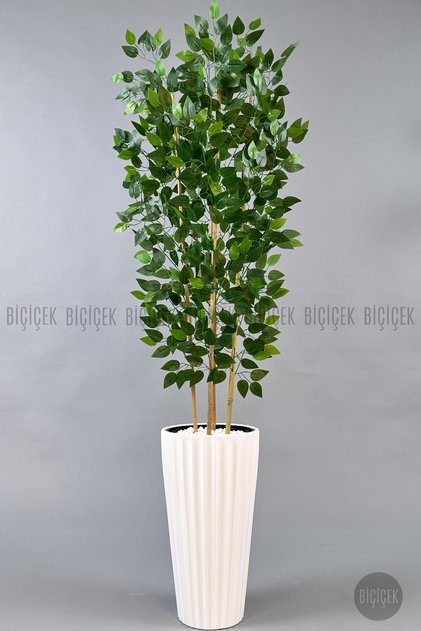 Yapay Bambu ve Benjamin 4 dal Yoğun Yapraklı 180 cm