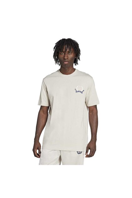 Graphic Lo Ss t Men's Gray T-Shirt Jx8157