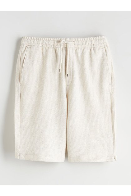 Vizyon New Season Standard Fit Men's Shorts