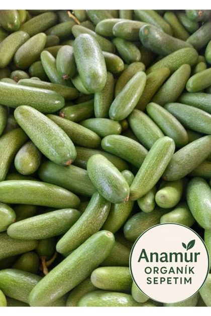 Bebek Avokado ( 1 KG )