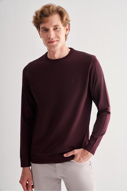 Men's Plum Crew Neck Pocketless Slim Fit Casual Knitwear Sweater