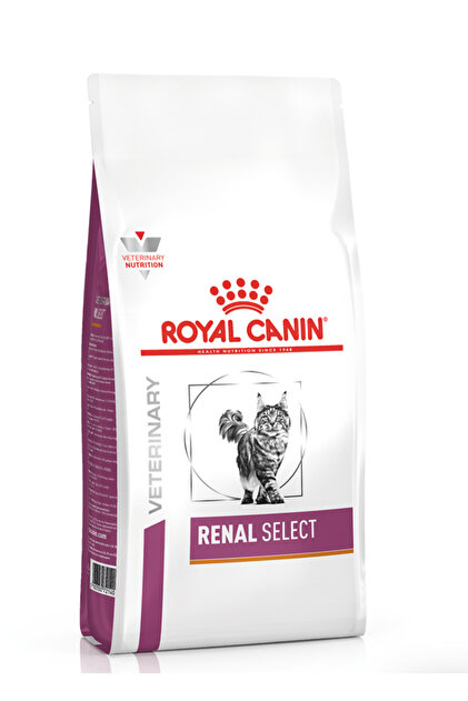  CANIN Renal Support 237ml ×12本★未開封 Royal Canin Veterinary Renal Kedi Kuru Maması 4 kg (:12/2025