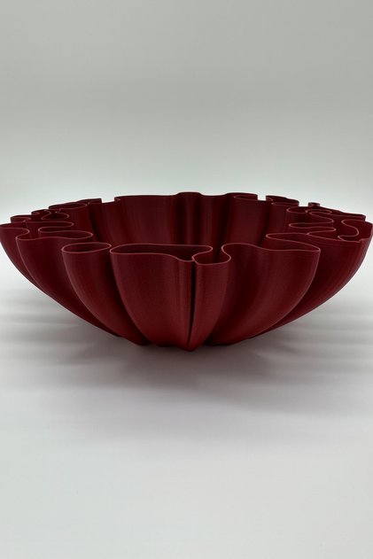 Coral Kase – Modern Dekoratif Bowl