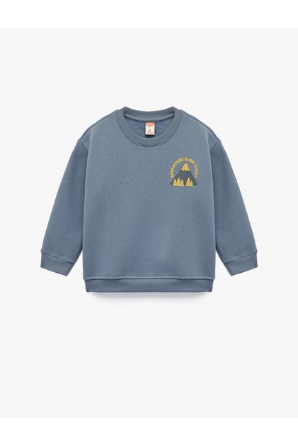 Print Detailed Crew Neck Long Sleeve Fleece-Lined Sweatshirt