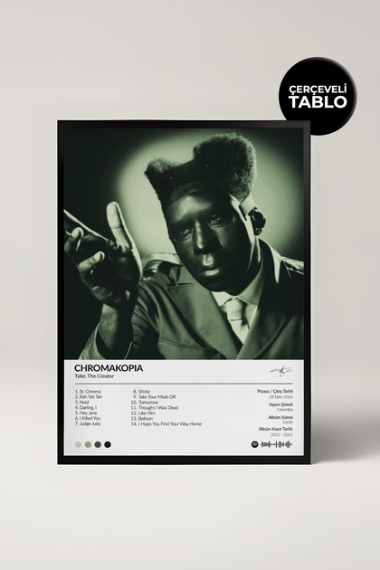 House Gorgeous Tyler The Creator Flower Boy Albümü Çerçeve Albüm