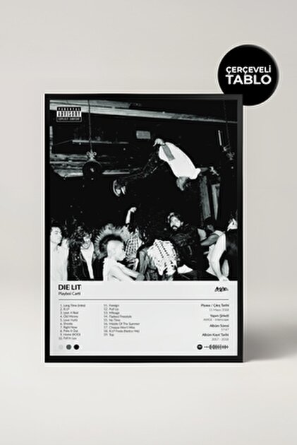 House Gorgeous Arctic Monkeys A.m Albümü Çerçeveli Albüm Tasarımlı