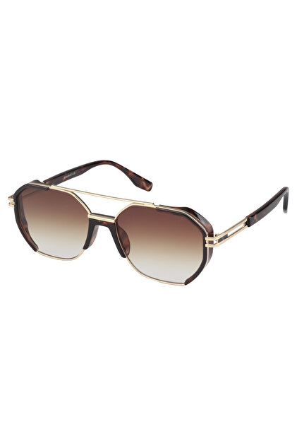 Premium Sunglasses 2413 C3